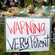 A basket of cannabis-infused edibles on display during a 420 Day celebration in San Francisco last year